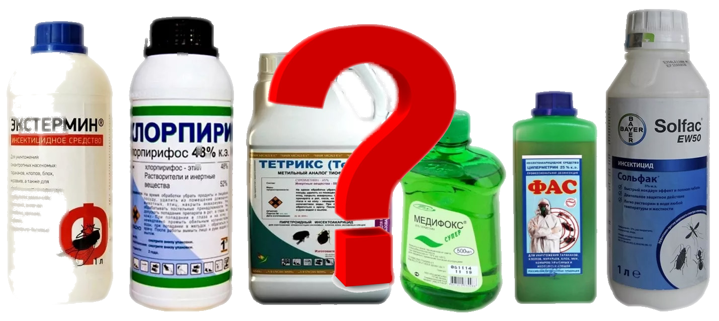 КАК ВЫБРАТЬ ИНСЕКТИЦИД ДЛЯ ДЕЗИНСЕКЦИИ?
